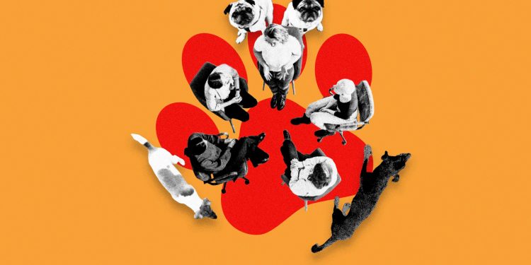Welcome to Dogs Anonymous, the Online Support Group for People With Difficult Dogs