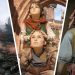 Celebrate the release of Resonance: A Plague Tale Legacy with our Plague Tale quiz