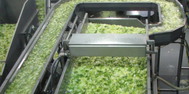 Cyclospora outbreak patient count tops 18,000