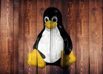 Linux users beware — CISA flags three major security issues you need to patch right now