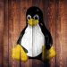 Linux users beware — CISA flags three major security issues you need to patch right now