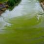 Iron complex breaks down stubborn pollutant using light-powered reaction