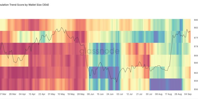 Bitcoin struggles at $83,000 sell wall as whales distribution flip into net selling