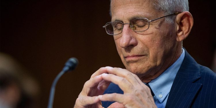 Stop ‘Harassment’ of Fauci, Scientists Urge Politicians