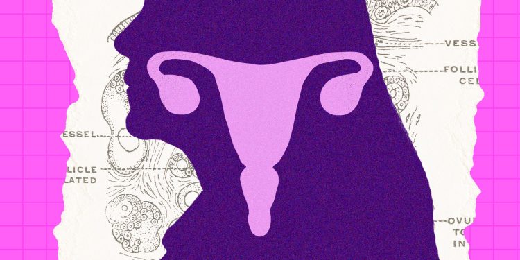 The Ovary Is Surprisingly Active After Menopause. Scientists Are Trying to Figure Out Why