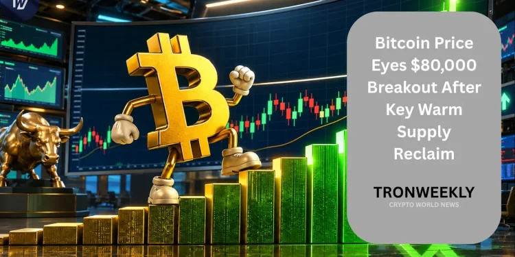 Bitcoin Price Eyes $80,000 Breakout After Key Warm Supply Reclaim
