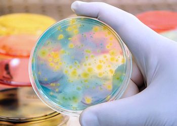 Cefazolin Noninferior to Penicillins for MSSA Bacteremia