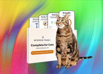 What’s the Best Pet DNA Test? We Tested the Most Popular Ones