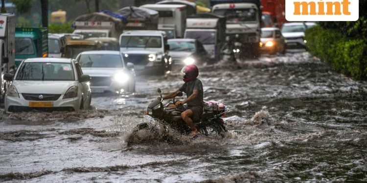 Widespread rain likely across central, east, west India: IMD