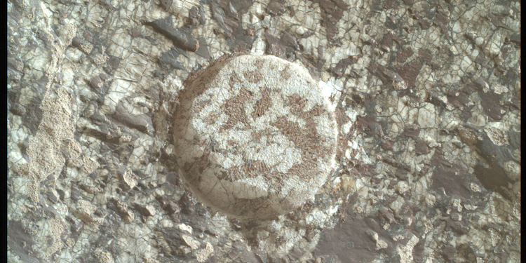Mars Has Its Charmes