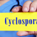 Italian reports cover Cyclospora and Salmonella cases