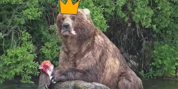 Bear #89 (Backpack) wins Fat Bear Week 2026