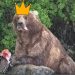 Bear #89 (Backpack) wins Fat Bear Week 2026