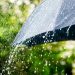 How Is a Rain Bomb a ‘Microburst’ When It’s Devastatingly Intense?