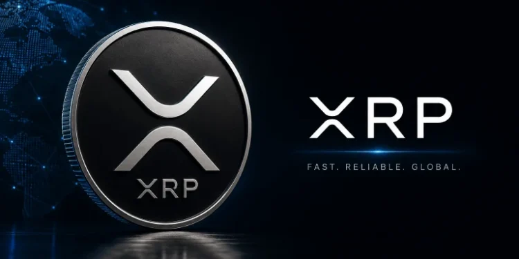 XRP ETF Filing Puts XRP Above SOL, LINK, AVAX as Short Fund Moves