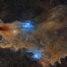 This Nebula Looks Like a Shark