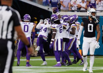 Ex-Vikings Tackler Gets His Next Gig