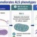 Synthetic molecule improves mitochondrial function in ALS models and patient-derived stem cells