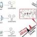 Ultrafast X-rays reveal how the light-responsive molecular switch azobenzene changes shape