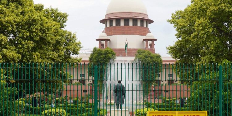 Kerala HC seeks monthly reports from panel on compliance with SC’s stray dog directives
