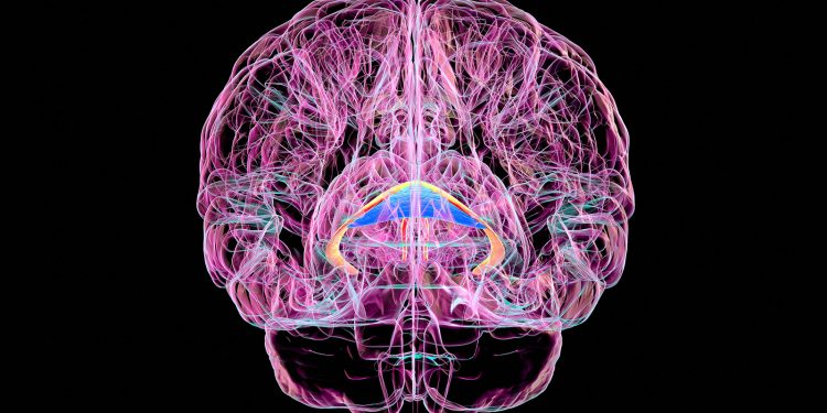 Brain Disorder Due to Vitamin Deficiency Often Goes Unrecognized