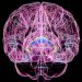 Brain Disorder Due to Vitamin Deficiency Often Goes Unrecognized
