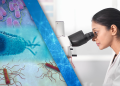 FDA releases executive summaries on two outbreak investigations