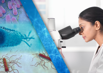 FDA releases executive summaries on two outbreak investigations