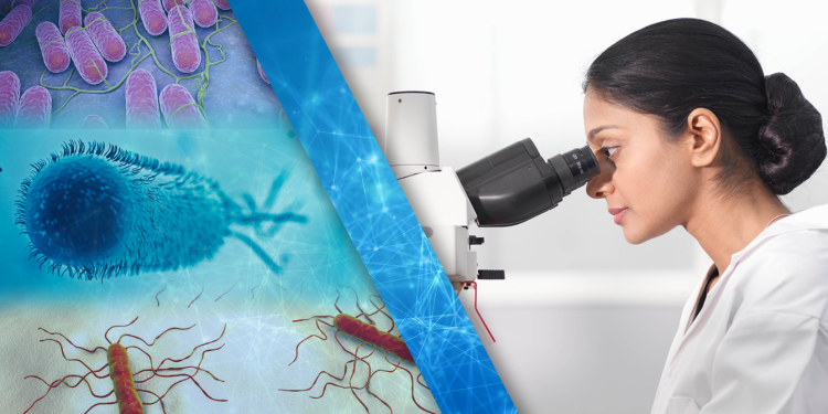 FDA releases executive summaries on two outbreak investigations