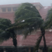Wavy-shaped homes could limit damage from hurricane winds