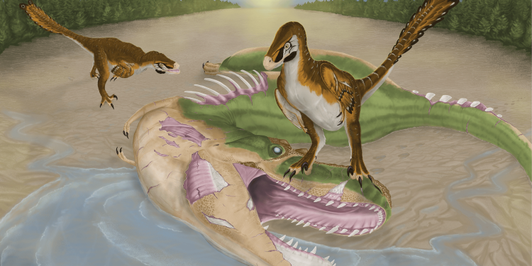 A baby tyrannosaur possibly cannibalized its dead relative