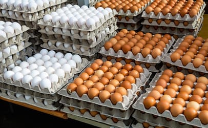 Vermont farm recalls eggs because of link to Salmonella outbreak