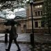 Yen sinks after BoJ raises rates to highest level since 1995