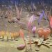 Did These Microbes Eat A Lot of the Fossil Record?
