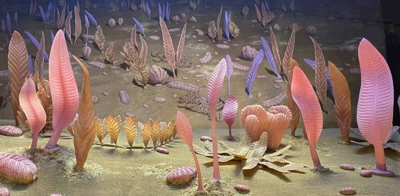 Did These Microbes Eat A Lot of the Fossil Record?