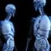 Brain aging may be detected decades before symptoms appear, with links to gut health