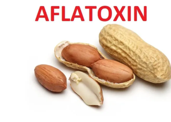 EU notes improvement in U.S. aflatoxin situation
