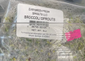 New Salmonella outbreak traced to Evergreen Sprouts