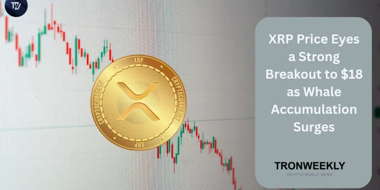 XRP Price Eyes a Strong Breakout to $18 as Whale Accumulation Surges