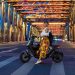 10 Reasons to Get Yourself a MUTE Scooter