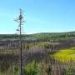 Bering Land Bridge base camp reveals what life was like nearly 14,000 years ago
