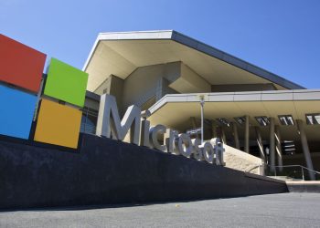‘We should all be worried’: Microsoft president says changes to green-cards could hurt US tech