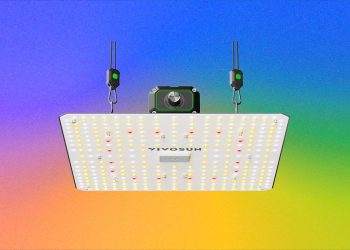 The Best LED Grow Lights for Houseplants This Winter (2026)