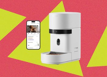 These 12 Automatic Cat Feeders Were the Best We Tested in 2026