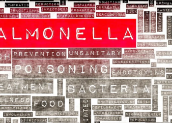 Hundreds sick and two dead in UK Salmonella outbreaks