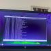 5 terminal tools that make Linux easier without forcing you to become a programmer