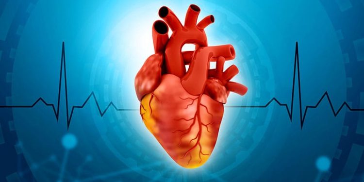 Vutrisiran May Stabilize Right Ventricle Function in ATTR-CM