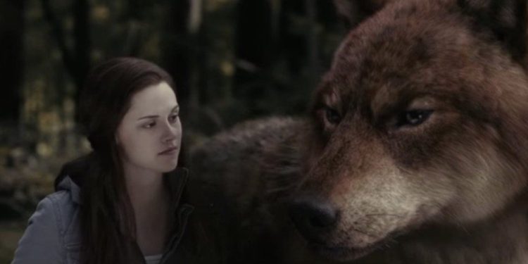 This Quiz Will Reveal If You’re Actually A Werewolf Among Us