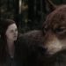 This Quiz Will Reveal If You’re Actually A Werewolf Among Us