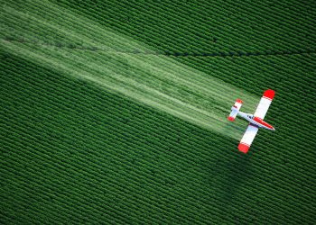 What New Research Shows About Prenatal Pesticide Exposure and Autism Traits